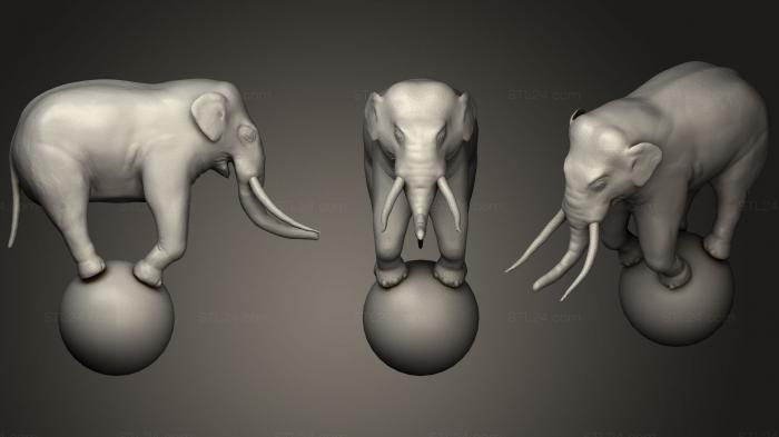 Статуэтки животных (Цирковой слон, STKJ_1683) 3D модель для ЧПУ станка